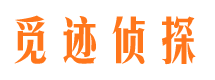 岐山侦探公司